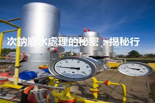 次鈉廢水處理的秘密：揭秘行業(yè)不為人知的技術(shù)？